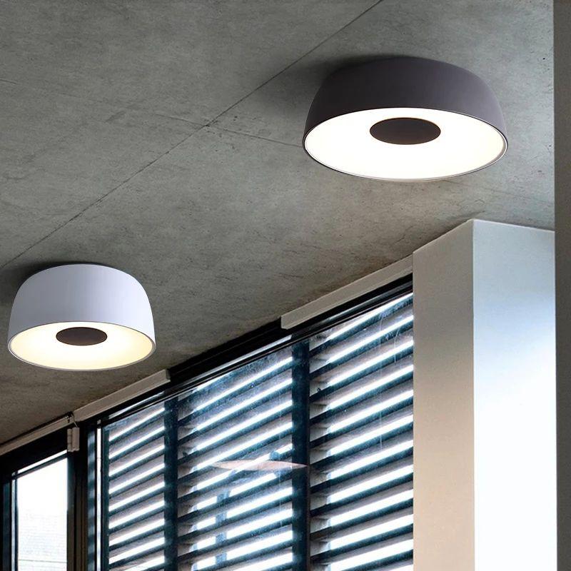 Indoor Art Decoration LED Ceiling Lamp
