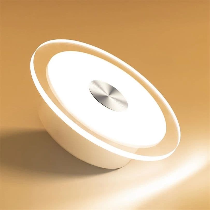 Nordic Modern Simple LED Ceiling Light