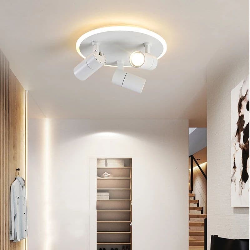 Modern Rotating LED Ceiling Lights