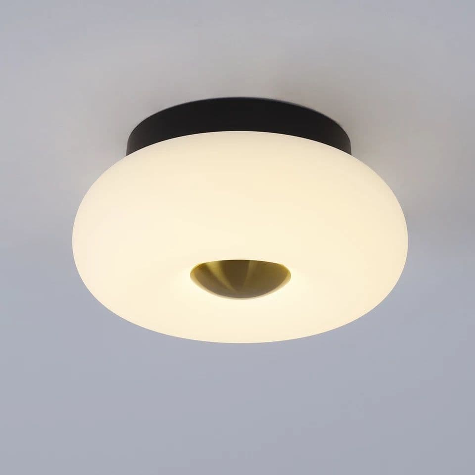 Doughnut LED Ceiling Light